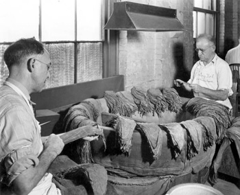 Workers selecting cigar wrappers : Tampa, Florida (19--)