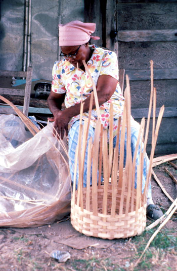 Lucreaty Clark looking for another strip of white oak to continue making her basket (not after 1979)