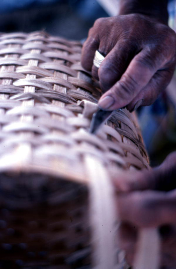 Close-up view of Lucreaty Clark making a white oak basket (not after 1979)