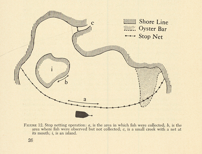 FIGURE 12. Stop netting operation.