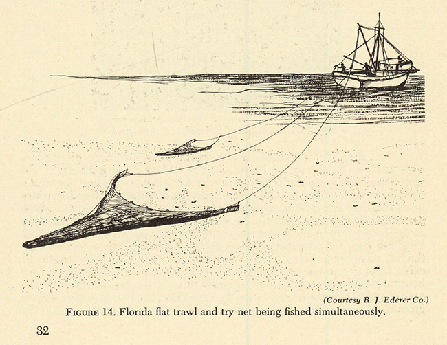 FIGURE 14. Florida flat trawl and try net being fished simultaneously.