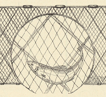 Commercial Fishing Gear and Fishing Methods in Florida, 1955