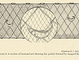 Commercial Fishing Gear and Fishing Methods in Florida, 1955