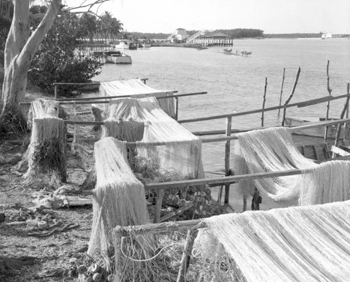 Seine nets drying at a dock: Marco Island, Florida (1959)