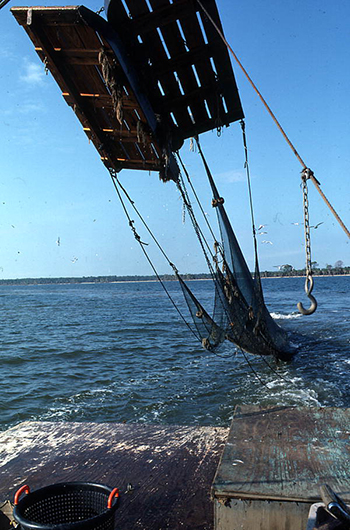 Lloyd's Seafood shrimp trawling net - Apalachicola Bay, Florida (1986)