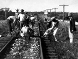 Zora Neale Hurston Singing Traditional Railroad Lining Rhythms