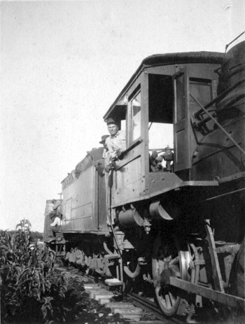 Moving the tomato crop (1921)