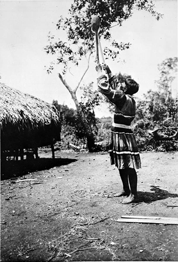 Ingraham Charlie posing with wooden ball sticks at Jack Tigertail’s camp (1910)