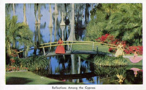 A postcard depicting one of the many canals at Cypress Gardens (circa 1940s).