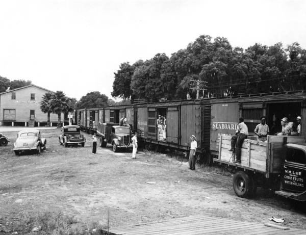 Farm workers load watermelons at a Seaboard Air Line depot in Pasco County (1938).