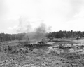 Land clearing and controlled fires - Eureka, Florida