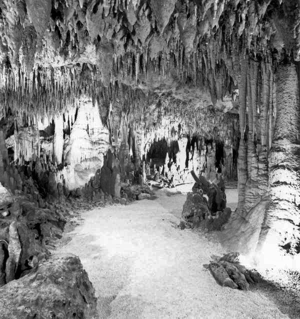 View of stalactites and stalagmites inside the Florida Caverns. The lowest point in the caverns is 65 feet below sea level, while the highest point is 125 feet above sea level. The temperature in the caverns hovers around 65 degrees at all times, regardless of seasonal fluctuations. Blind salamanders, crayfish, and gray bats live among the underground limestone formations.