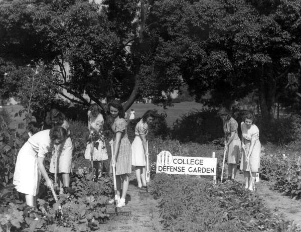 Florida State College for Women students in the 'College Defense Garden' - Tallahassee, Florida