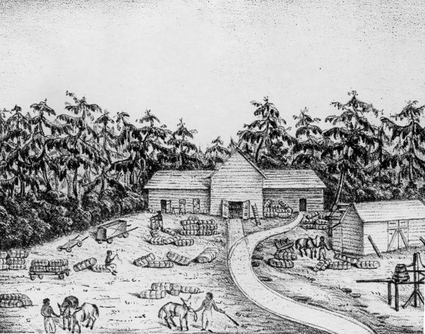 Drawing of the Tallahassee Railroad Company depot (1838).