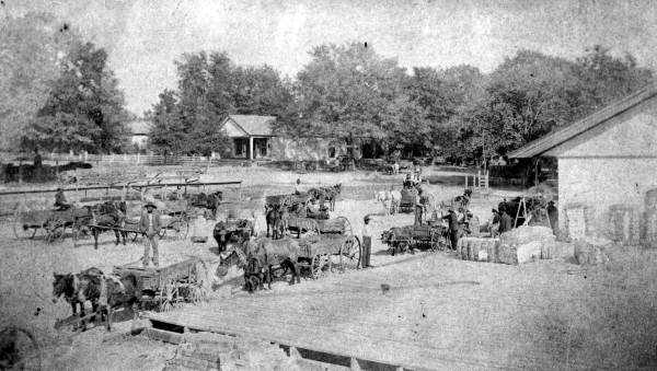 Wagons unloading cotton at the Seaboard Air Line depot in Lloyd in jefferson County, Florida (ca. 1890).