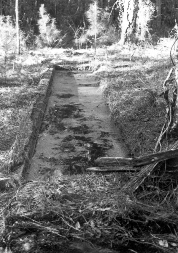 Remains of a dipping vat near Natural Bridge in Leon County (1980).