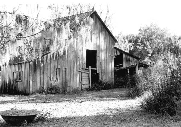 A barn on the Rawlings property at Cross Creek (1965).