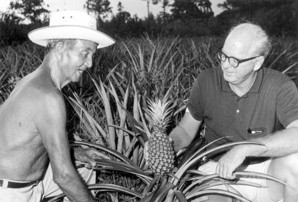 George S. Morikami and Al Avery holding prize pineapples