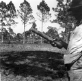 A worker holds a hack used for cutting pines for turpentine