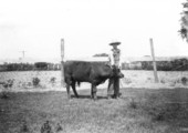 Jackson boy with a shorthorn calf