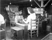 A woman rolling cigars in a cigar plant - Quincy, Florida