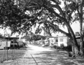 Trailer park - Cape Canaveral, Florida.