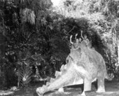 Children sitting on top of a Stegosaurus dinosaur sculpture in Bongoland at the Dunlawton Plantation Sugar Mill Ruins - Port Orange, Florida.