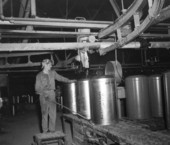 A Newport Industries worker has rosin drums filled for shipment - Pensacola, Florida.