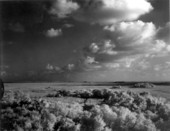 View of the Shark River Valley in the Everglades - Everglades National Park, Florida.