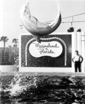 Dolphin in mid-air at Marineland of Florida - Marineland, Florida