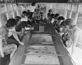 Tourists in a glass-bottom boat at Silver Springs - Ocala, Florida .