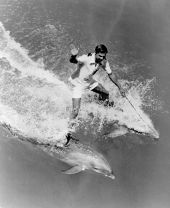 An animal trainer for Sea World riding two dolphins - Orlando, Florida.