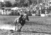 Cowwoman throws out her lasso - Homestead, Florida