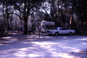 View showing area for camping at the Hillsborough River State Park - Thonotosassa, Florida.