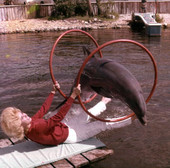 Through hoops for a pretty girl at Floridaland.