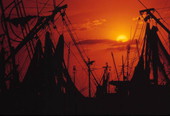 Sun setting beyond docked shrimp boats in Key West, Florida.