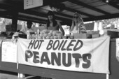 Becky Franklin's boiled peanuts food stand- White Springs, Florida