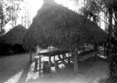 Example of a Seminole chickee- Big Cypress Seminole Indian Reservation, Florida