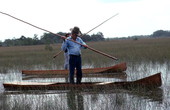 Glen Simmons (foreground) and apprentice Donald Edwards navigating their way through the "River of Grass" on glades skiffs- Florida City, Florida.