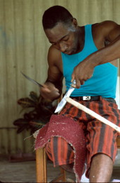 Alphonso Jennings cutting strips of white oak to make a basket - Lamont, Florida