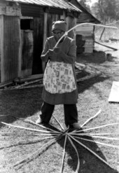 Lucreaty Clark beginning to weave a basket by laying out white oak strips - Florida.