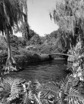 Scenic view of Cypress Gardens - Winter Haven, Florida