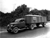 Floridagold truck - Polk County, Florida