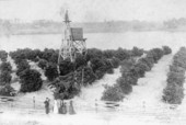 View of Lake Morton - Lakeland, Florida