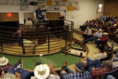 North Florida Livestock Market in Ellisville, Florida.