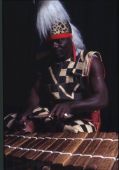 Martin Zagbo playing a xylophone - Orlando, Florida.