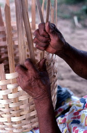 Lucreaty Clark weaving a white oak basket