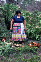 Mary B. Billie admiring the palmetto fibers she has collected for dollmaking - Big Cypress Reservation, Florida