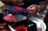 Mary B. Billie making a necklace for her Seminole doll - Big Cypress Reservation, Florida