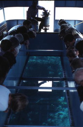 Tourists looking through the glass bottom - Wakulla Springs, Florida